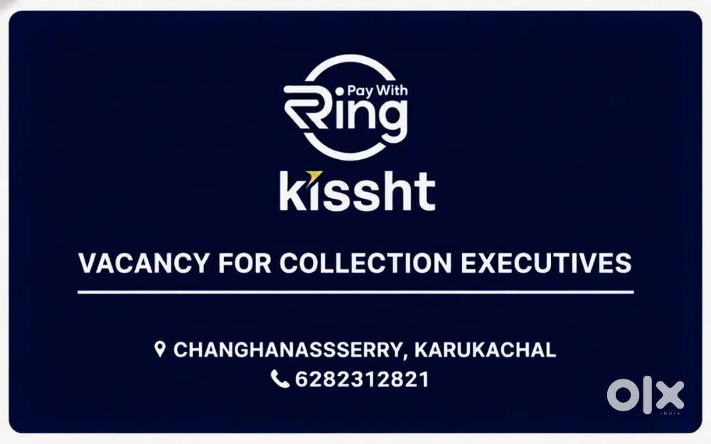 COLLECTION EXECUTIVE