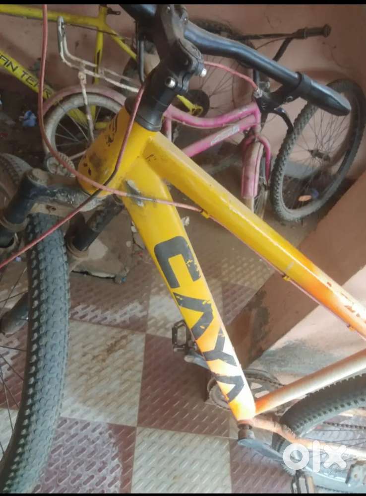 Caya 24 inch for adults