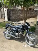 Spilder fresh condition