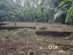 14 cent plot sale at kizhakkambalam