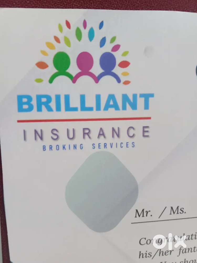 Brilliant insurance company