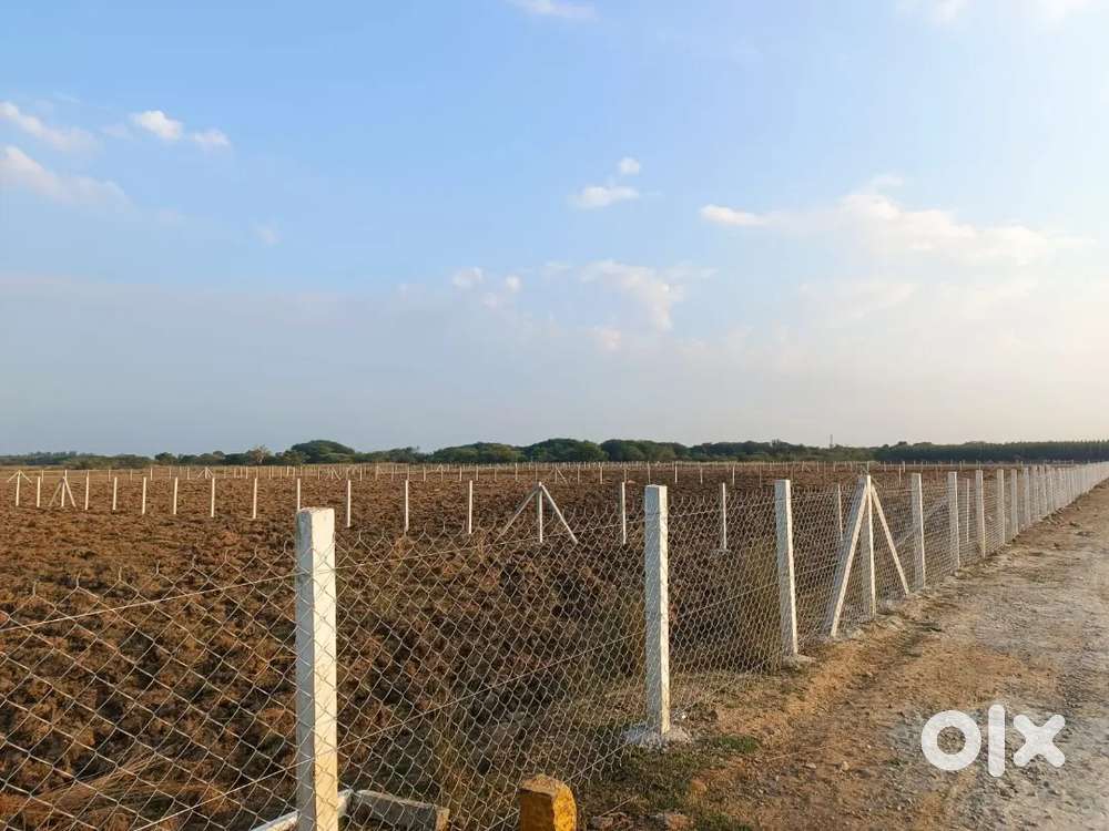 Brindhavan farm garden