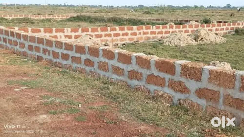 Good plot for immediate house