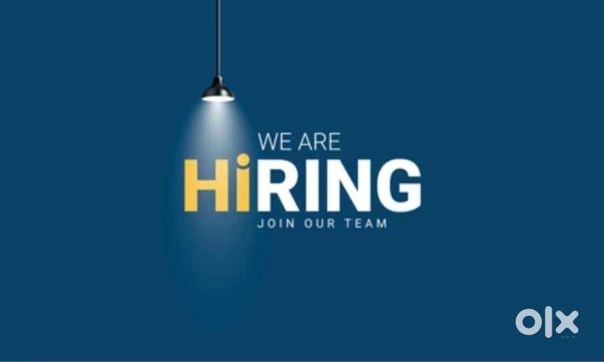 IT job openings for freshers 2025 Hiring