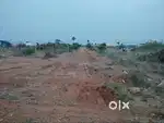 Land in chettipalayam