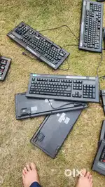 Tvs gold key board