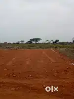 Ongole corporation (Open plots,independent houses,apartment)available