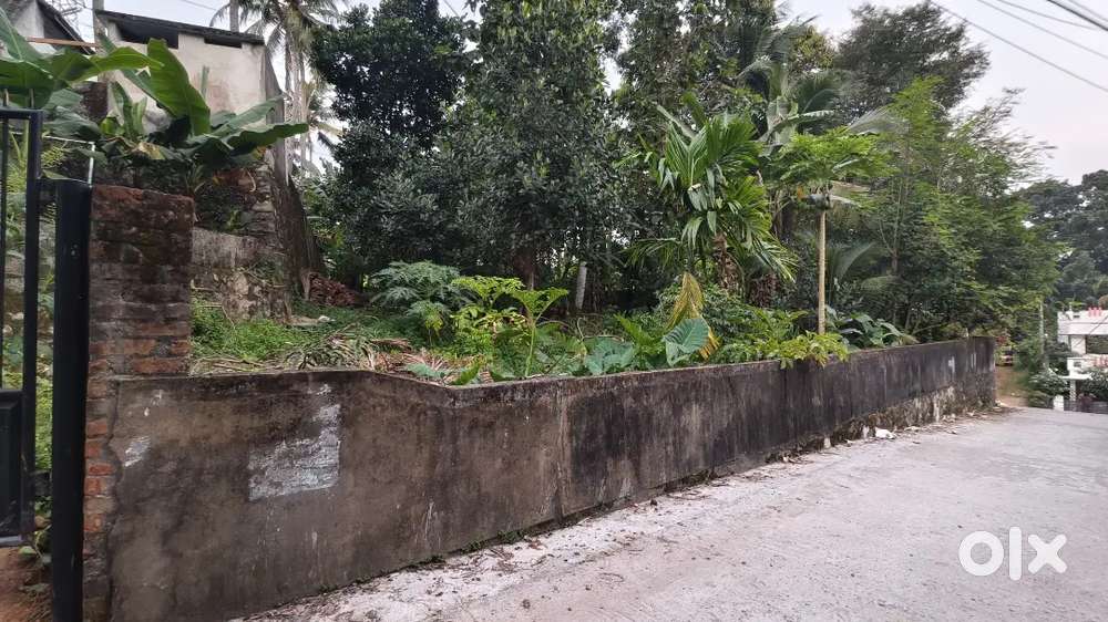 18 cent Near st Thomas school,csi Church east mukkola victory lane