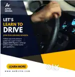 Driver needed in company