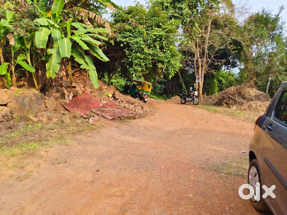 10.27 cents land for sale in kattungal