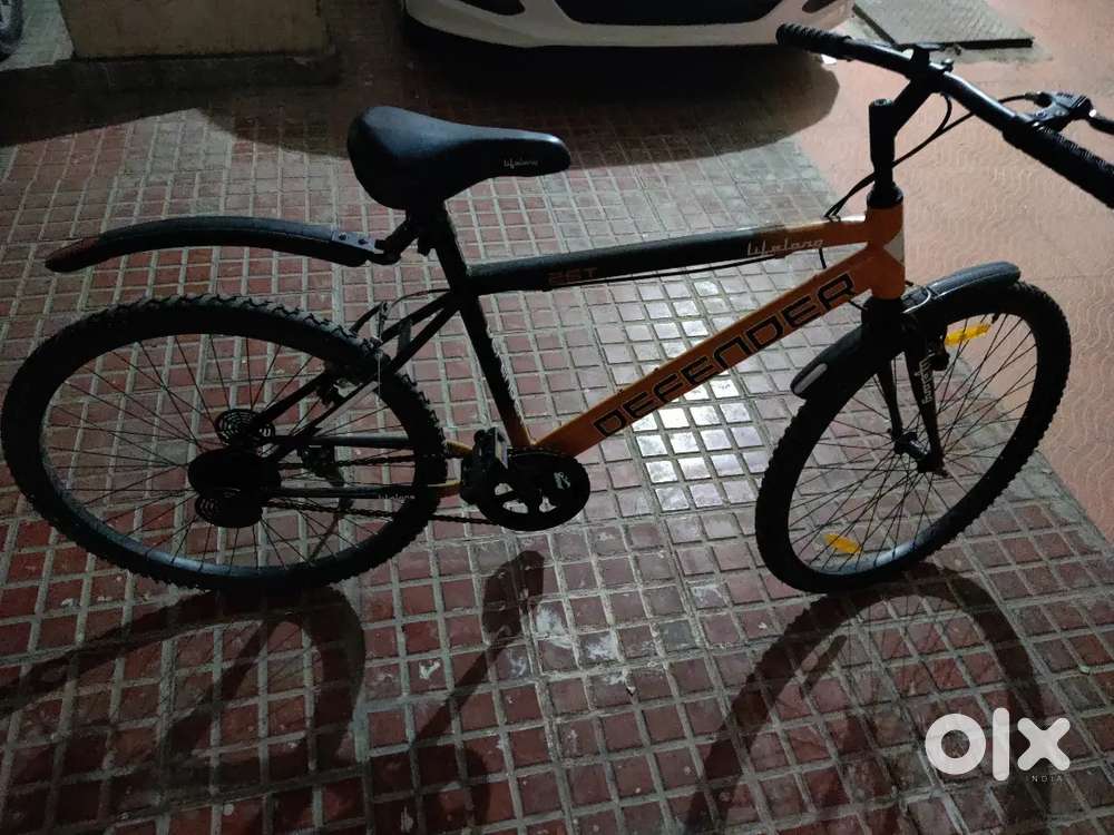 Lifelong bicycle