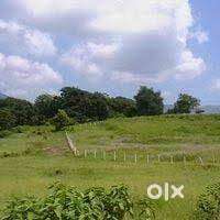 Rental Income on Plots