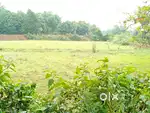Farmhouse Land