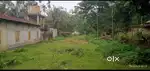 Land for sale In ghograpar ponarkaunia ( Ghograpar tamulpur road)