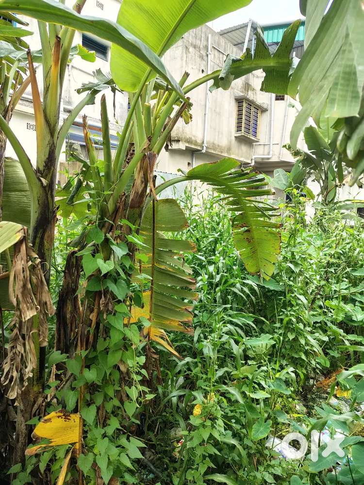 A Almost 2 Kattah Land Sale beside 30 Ft. road in Onkar Park Agarpara
