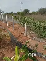 மனை விற்பனைக்கு
