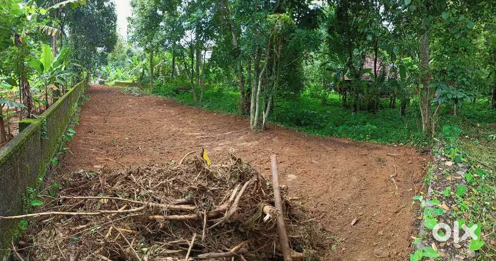 10 cent of plot area