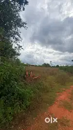 Land for sale agricultural