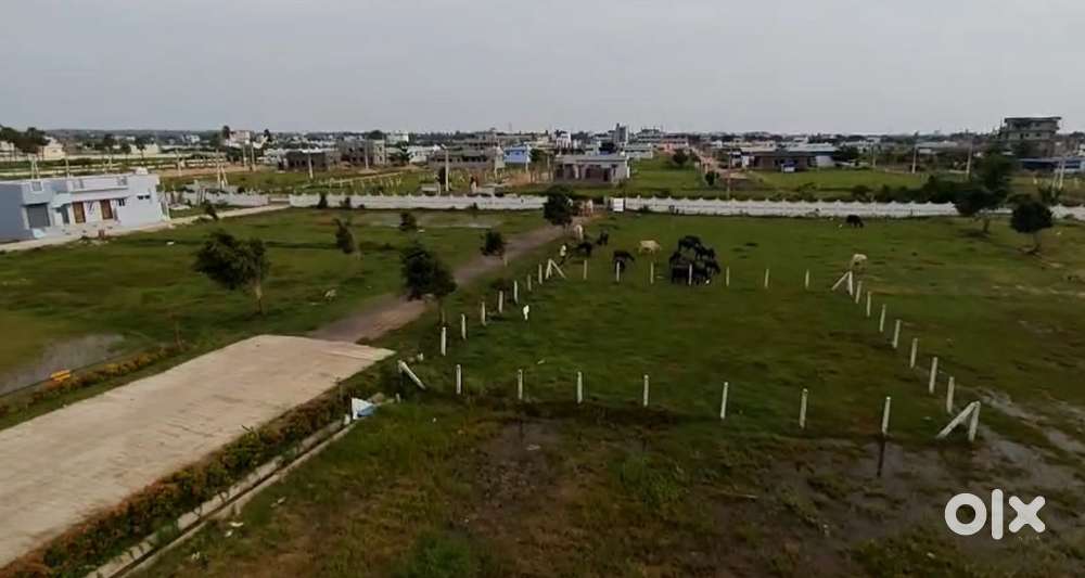 Open plots for sale in Gadala Rajahmundry
