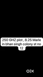 250 GJh plot in near ggs med college bhan singh colony 12 no street
