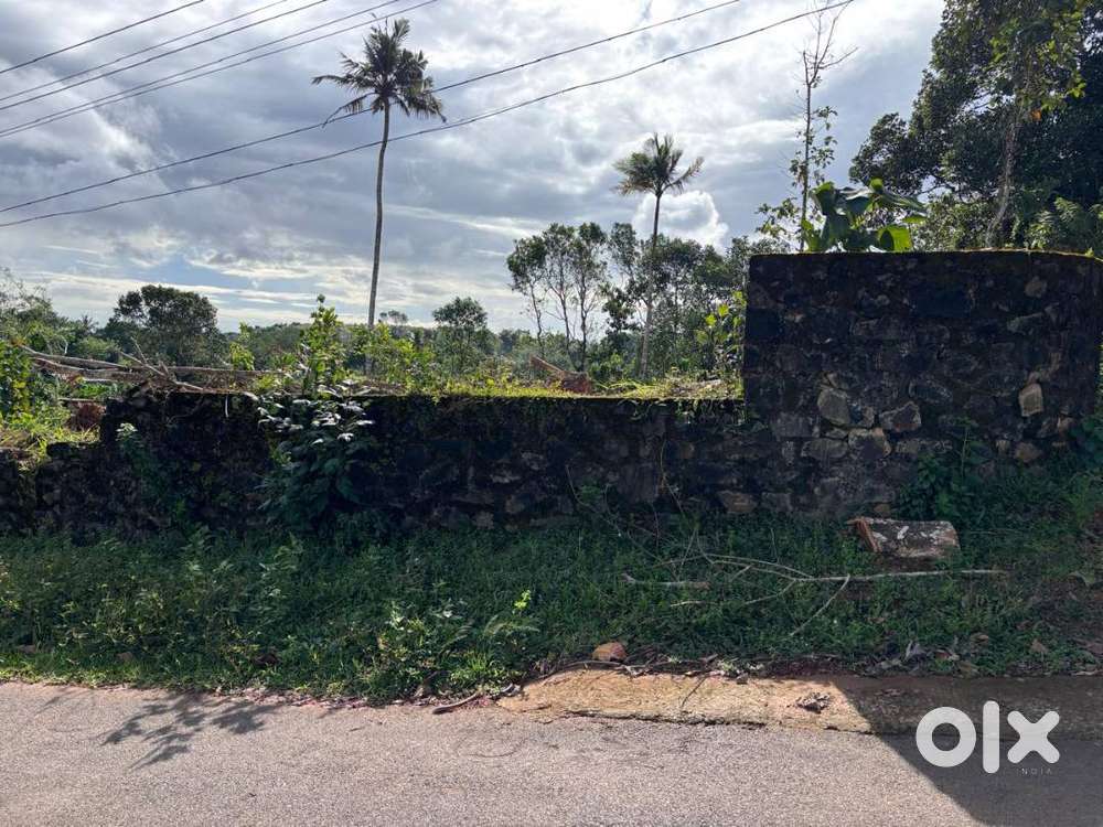 Residential plain land for sale