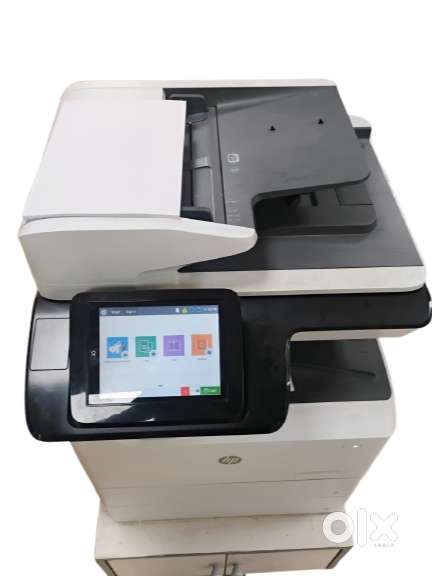 E77650 MPS ALMOST  3YR OLD