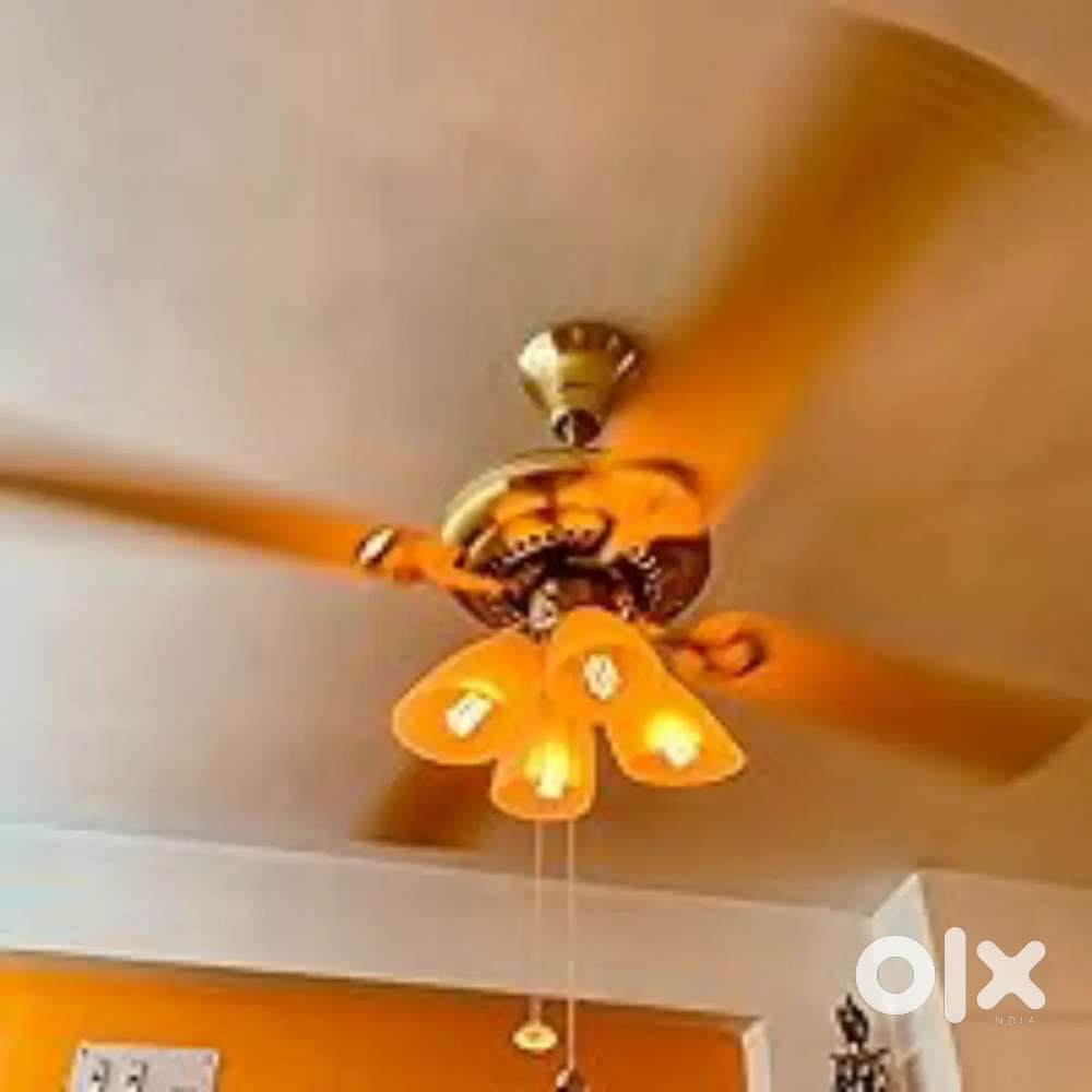 Usha luxury fan