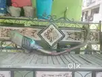 R15 v3 brand new full system exaust (6 months old )