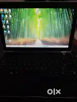 Dell Latitude Laptop