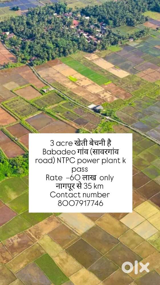 3 Acre खेती बेचनी है near NTPC Power plant, Babadeo₹60 Lakh