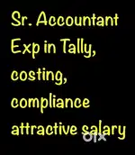 Senior Accountant