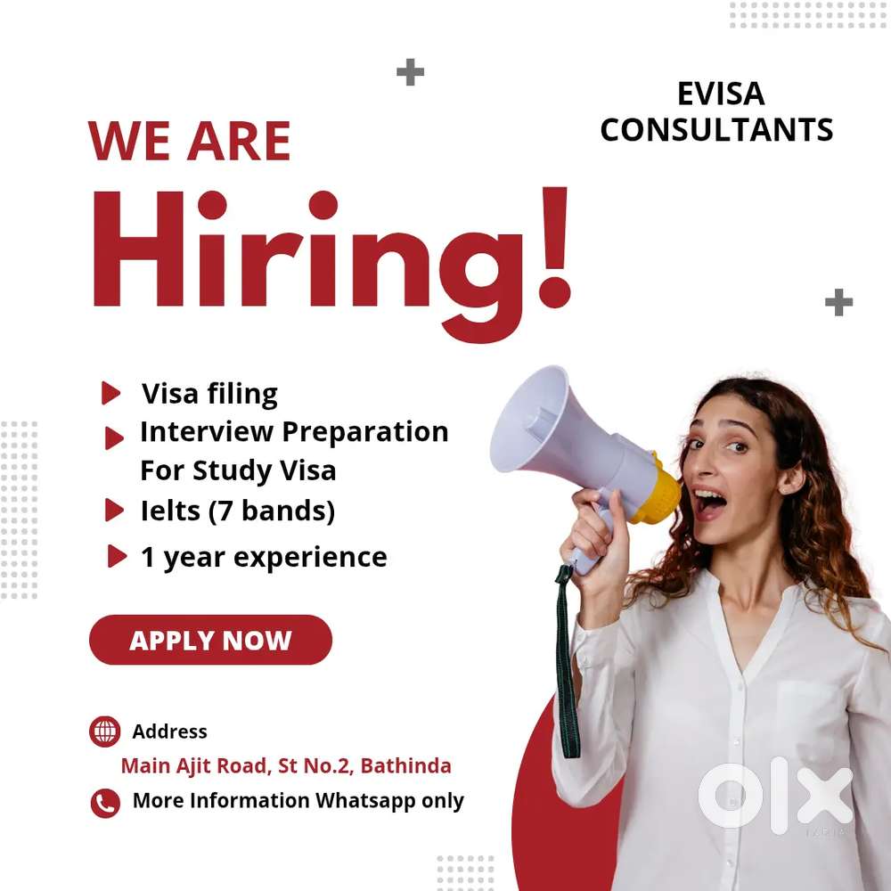 Visa filling and interview preparation