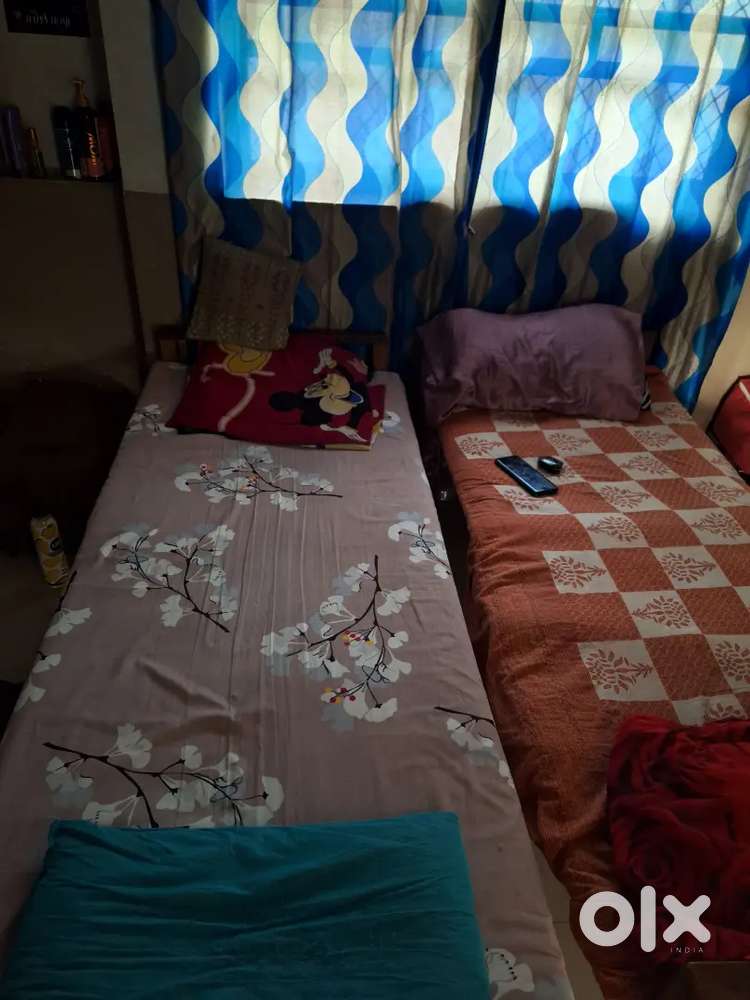 Looking for lady room mate