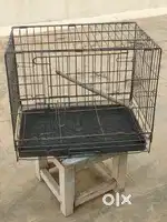 Birds Cage