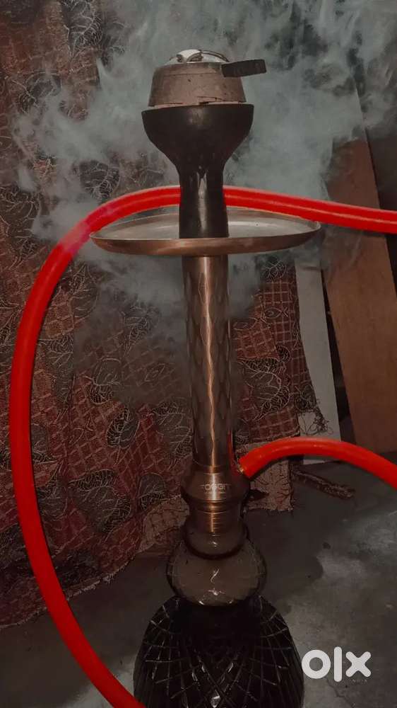 FOGIT FRANCE ALEXANDER