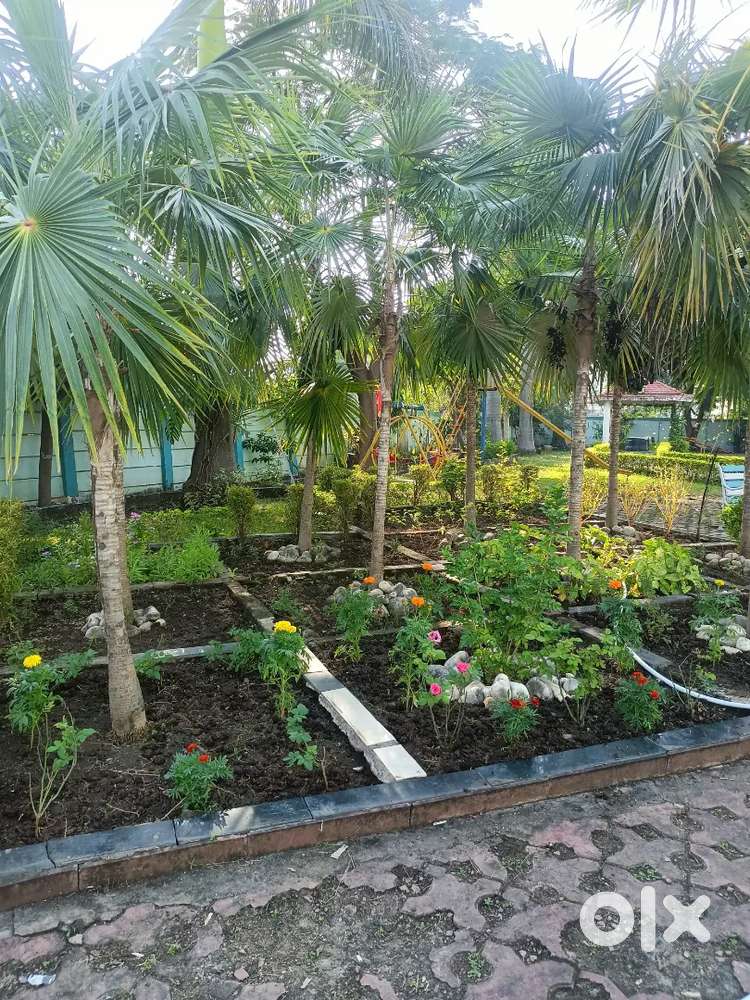 2bhk flat in mp nagar covered campus