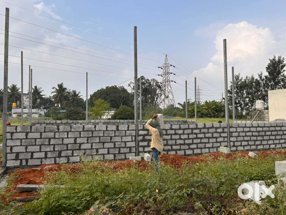 Want car Mechanic, car painter. Car washer