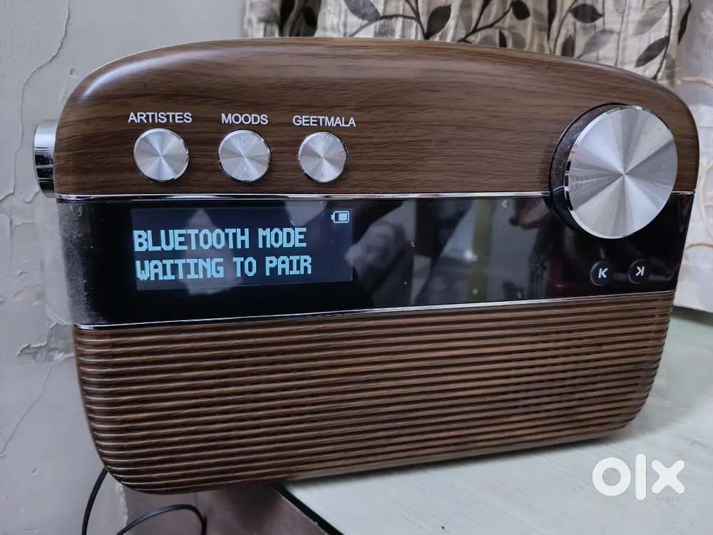 Bluetooth saregama Speaker