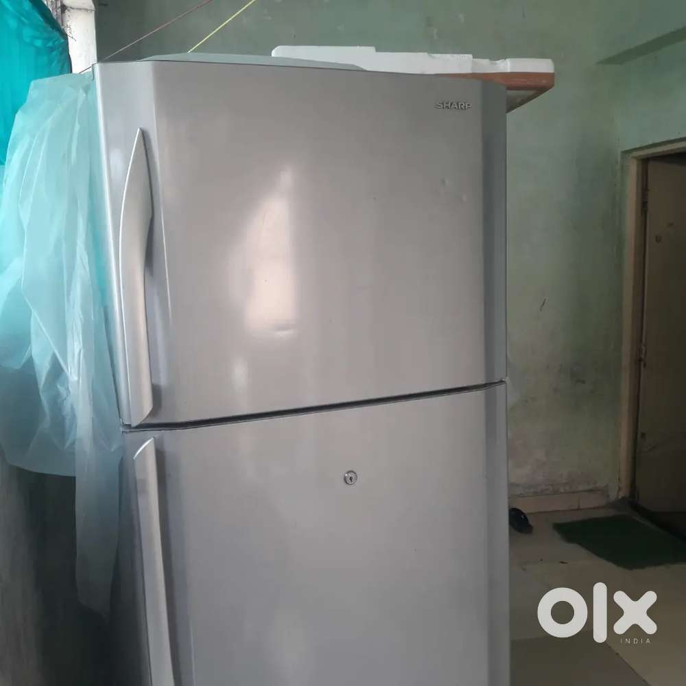 Best Fridge For Daily Uses