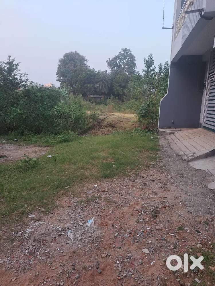 [2.53 kattha]Brokrage free plot at minimal rate. 50mtrs from road.