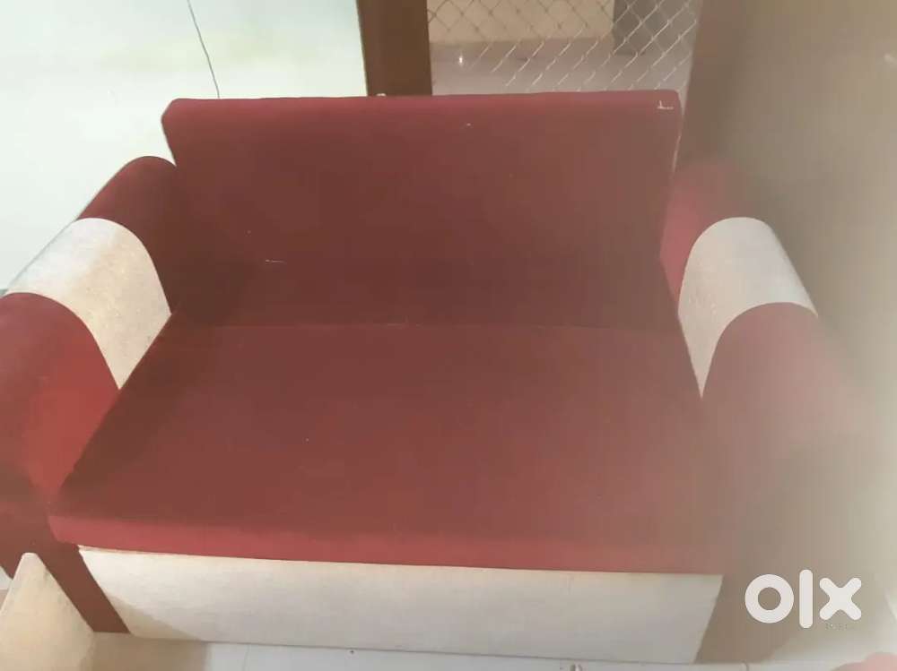 Sofa Cum-bed