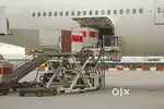 Full time jobs in IN INDIGO AIRLINES PICK an DROPPING SERVICE for