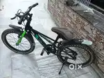 AVON SLIM FAT 20T KID BICYCLE(Green and Black colour)
