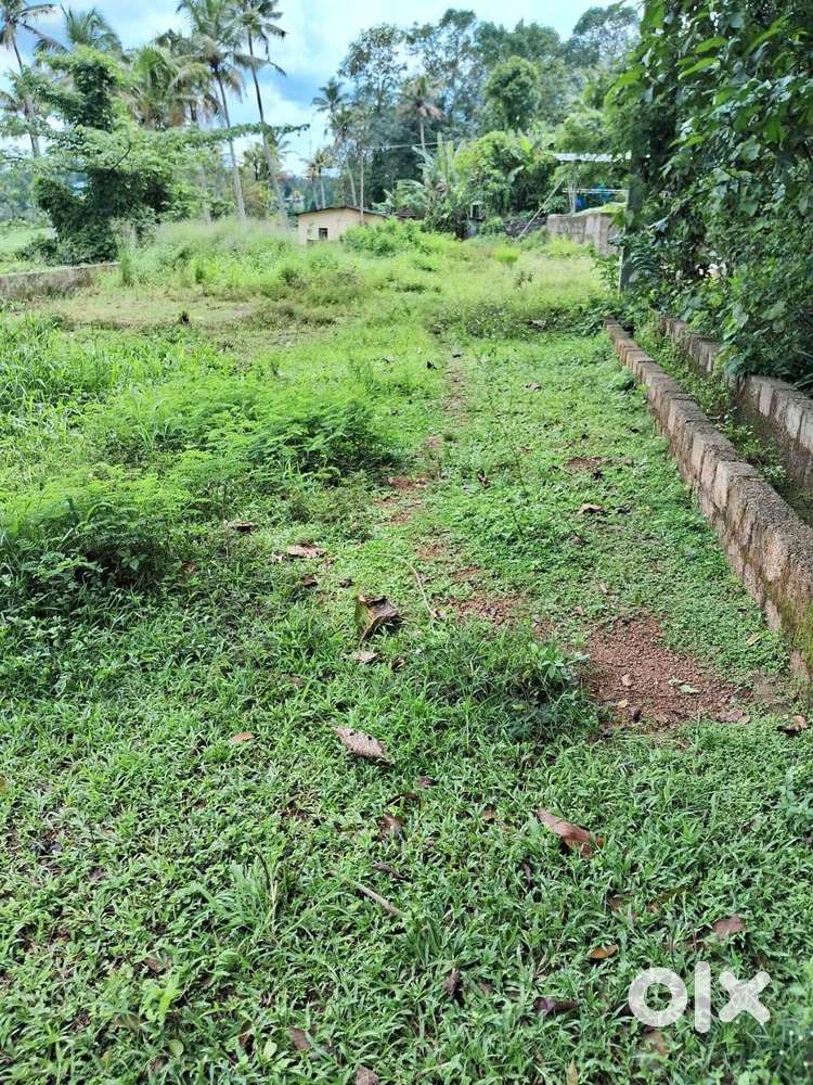 Plot For Sale Near cheeranchira