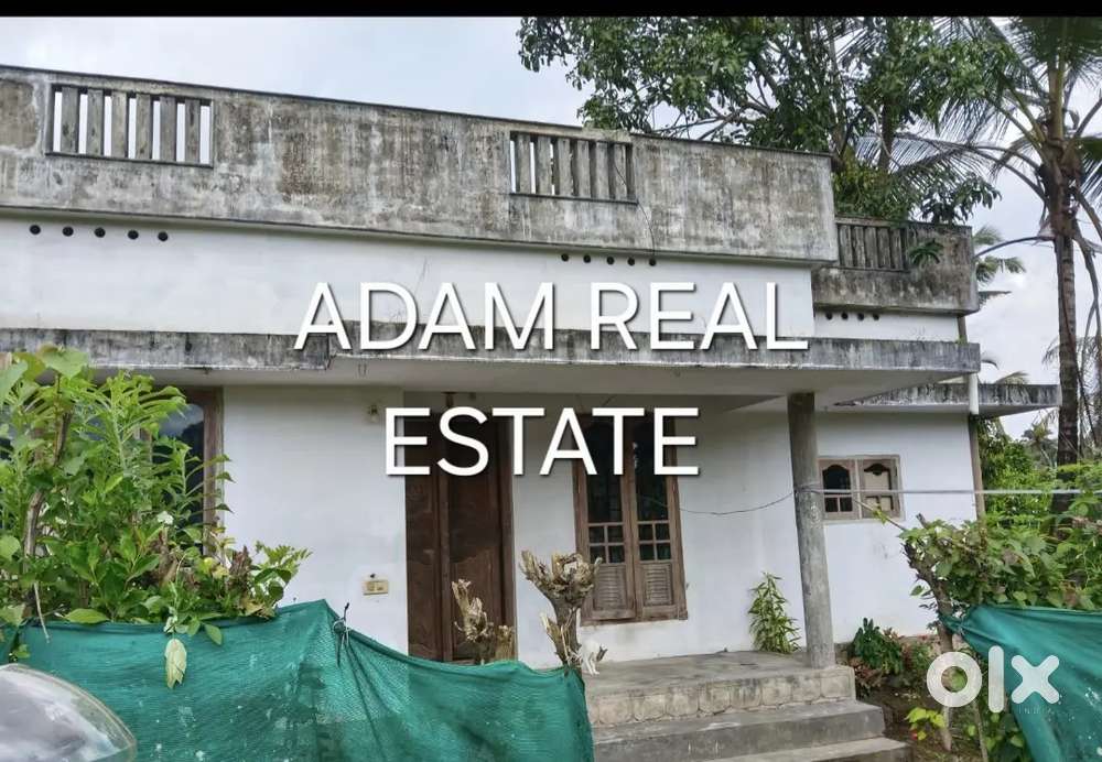 3bhk independent house lease aluva kadungalloor