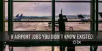 Job in indigo airlines 2025