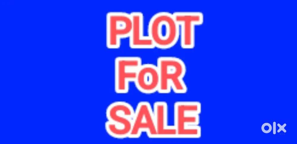 2 plots 110 yard each front 22 ft near gt road and putlighar chowk