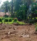 വെങ്ങേരി ജംഗ്ഷന്റെ അടുത്ത് 60 cent