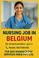 Bsc Nurse for Belgium
