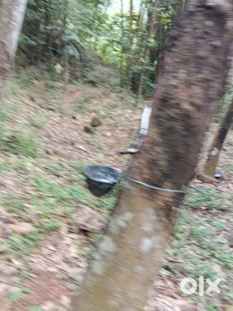 ഇൻവെസ്റ്റ്മെന്റിനും ആദായത്തിനും